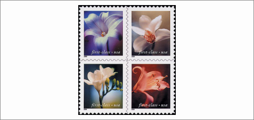 Lilly Stamps - USA